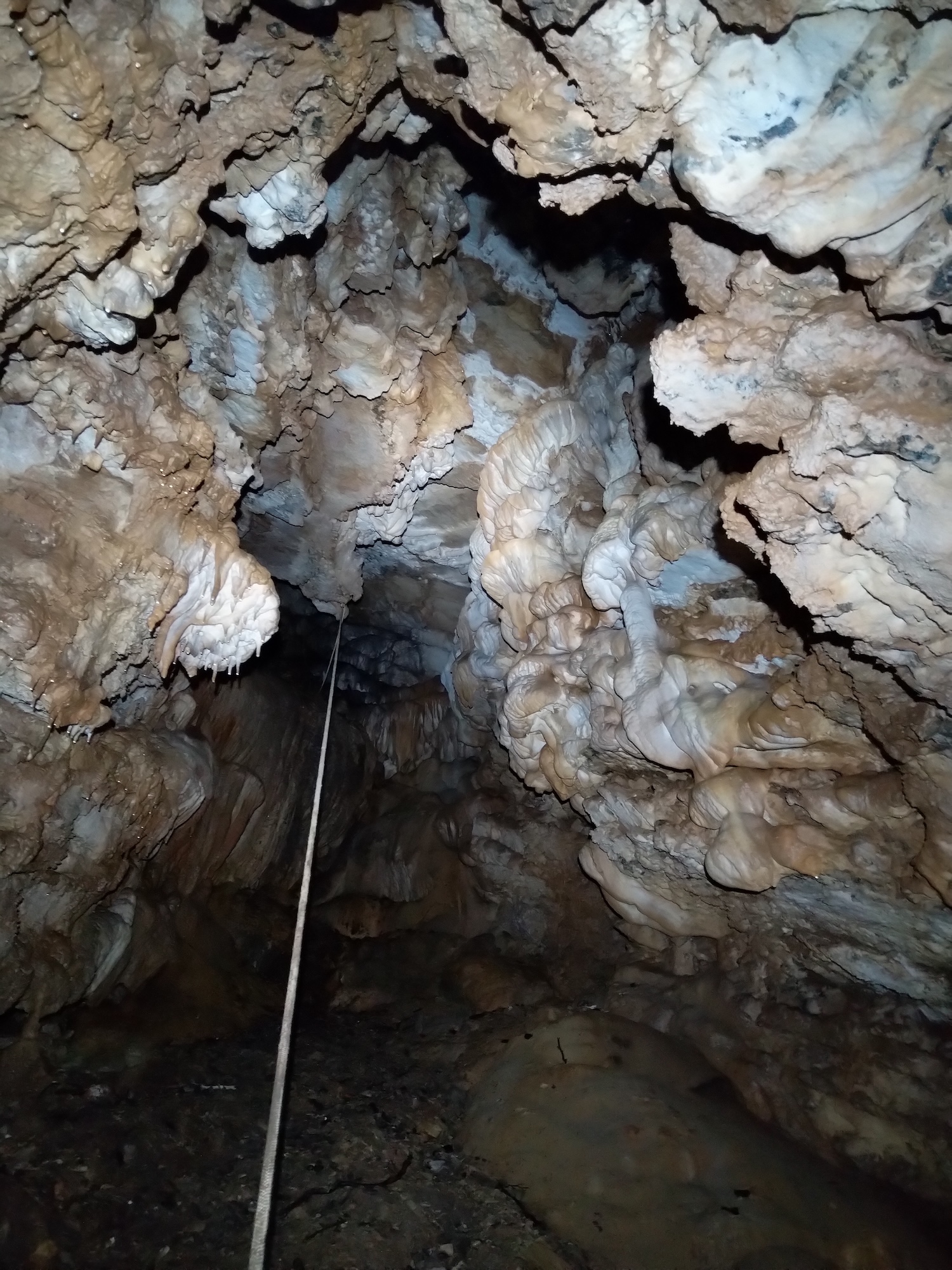 Peștera Nr.8 din Valea Toplița (Avenul Salamandrei) - Image 3